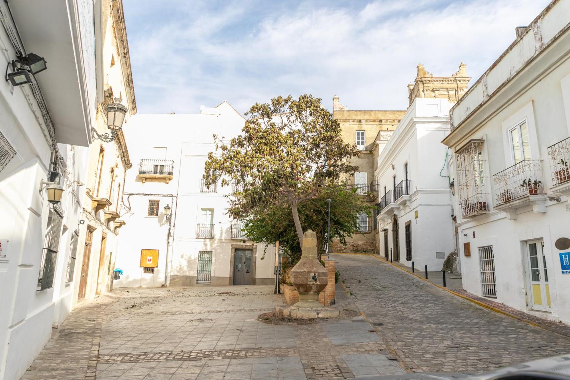 Casa Acua De Guzman - De Diseno, Casco Hist Daire Tarifa Dış mekan fotoğraf